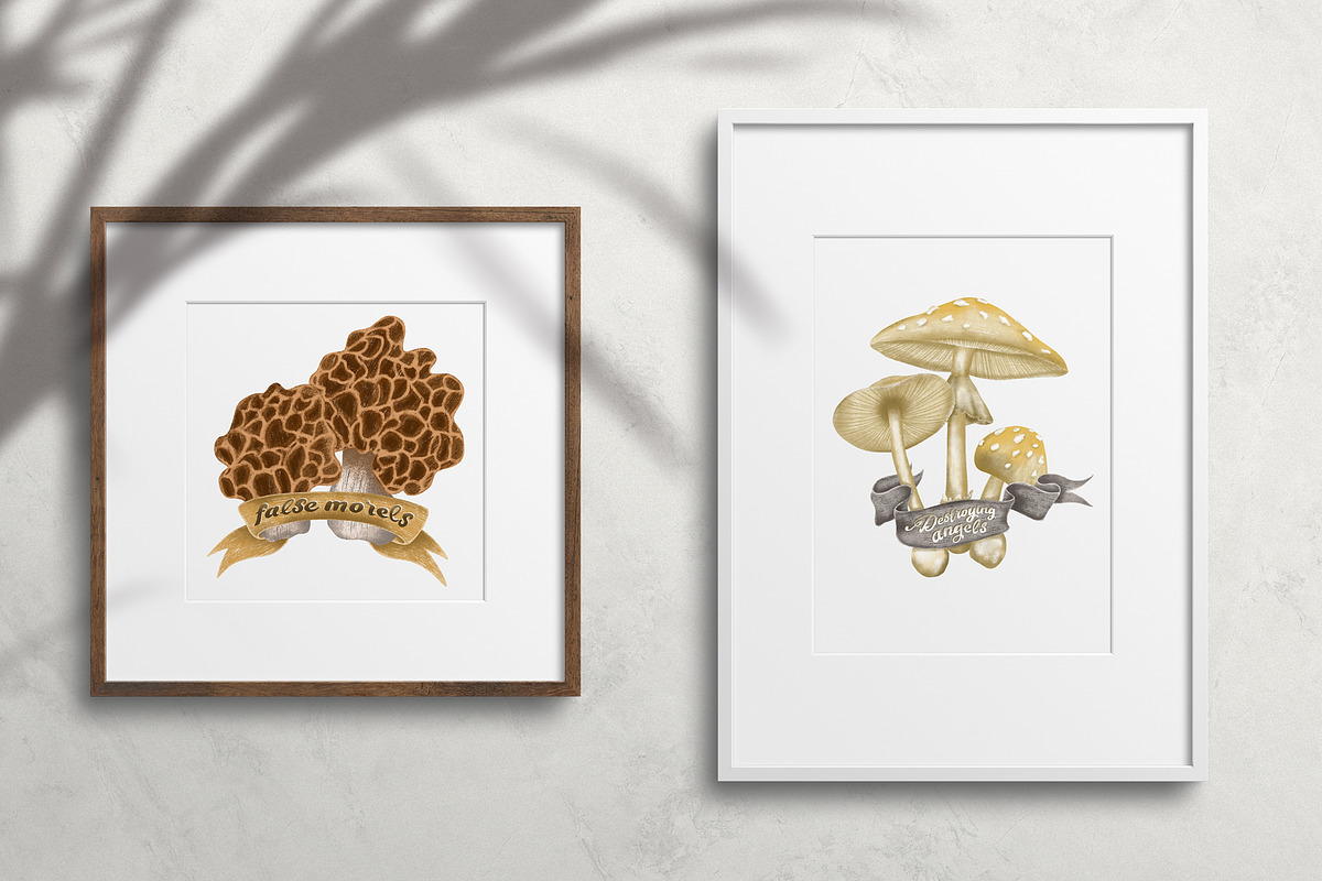 Poisonous mushrooms clipart, an Education Illustration by Yelloo Fish (Photo 2 of 10)