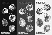 Fruits - hand drawn vector set, a Food Illustration by Margo Miller (Thumbnail 18 of 25)