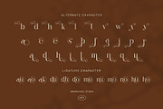 Sundan Elegant Luxury Serif Font, a Serif Font by Graphicxell (Thumbnail 8 of 8)