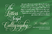 The Bringhton, a Script Font by Straight.co (Thumbnail 4 of 11)