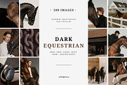 Dark Equestrian | 200 stock images, an Animal Photo by Tale.Haus (Thumbnail 1 of 13)
