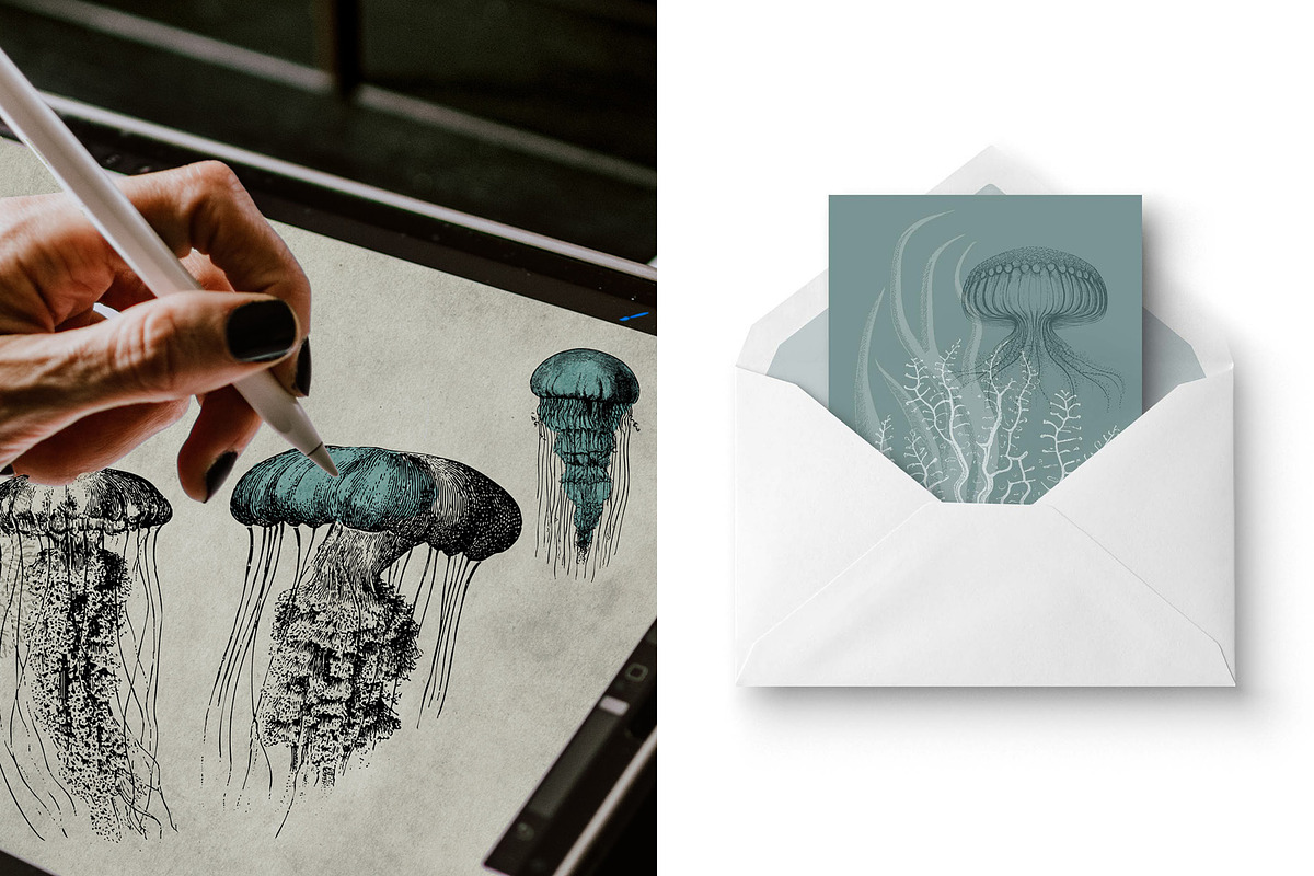 Aquatic Natural History Collection, an Object Graphic by Blixa 6 Studios (Photo 3 of 24)