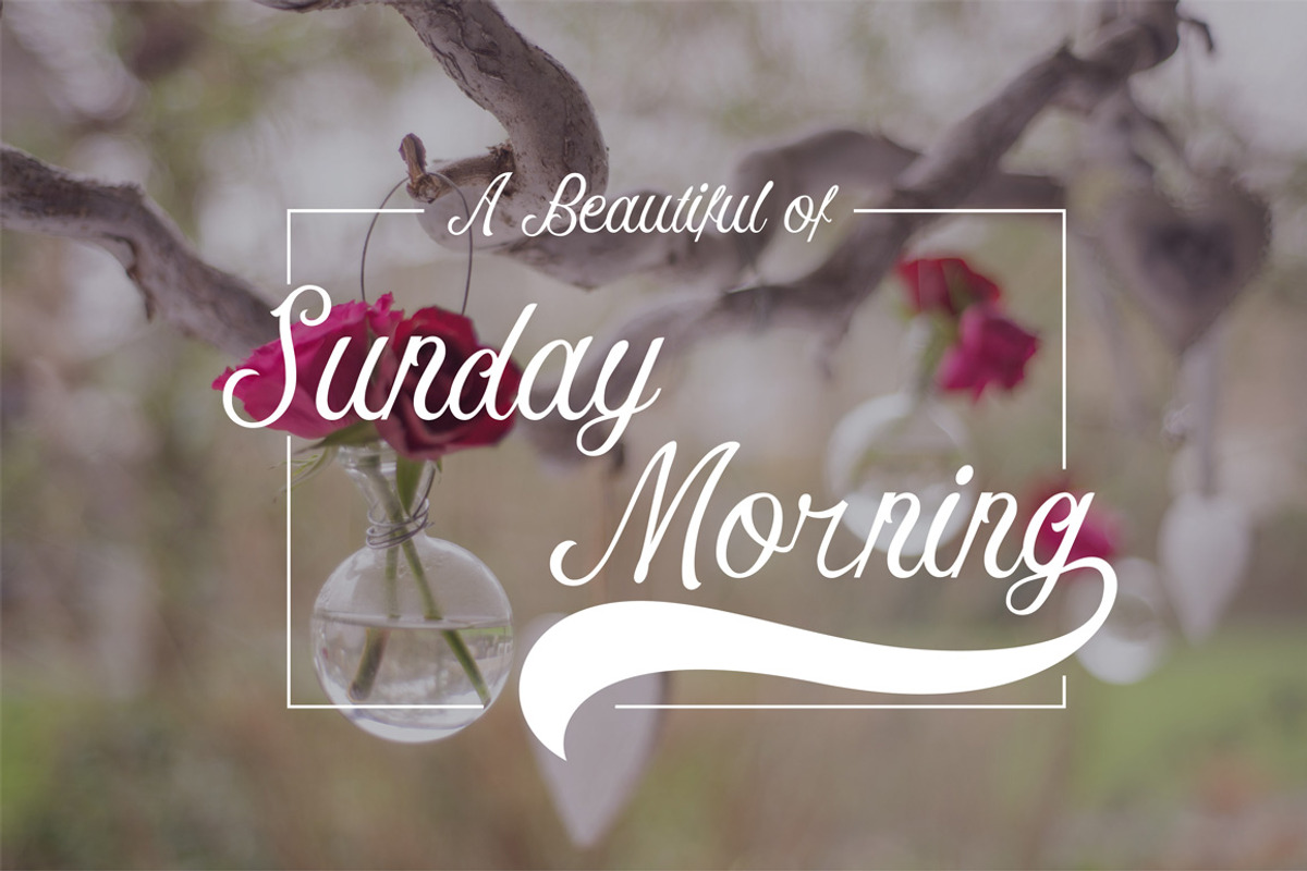Perdana Hand Script Fonts preview 4