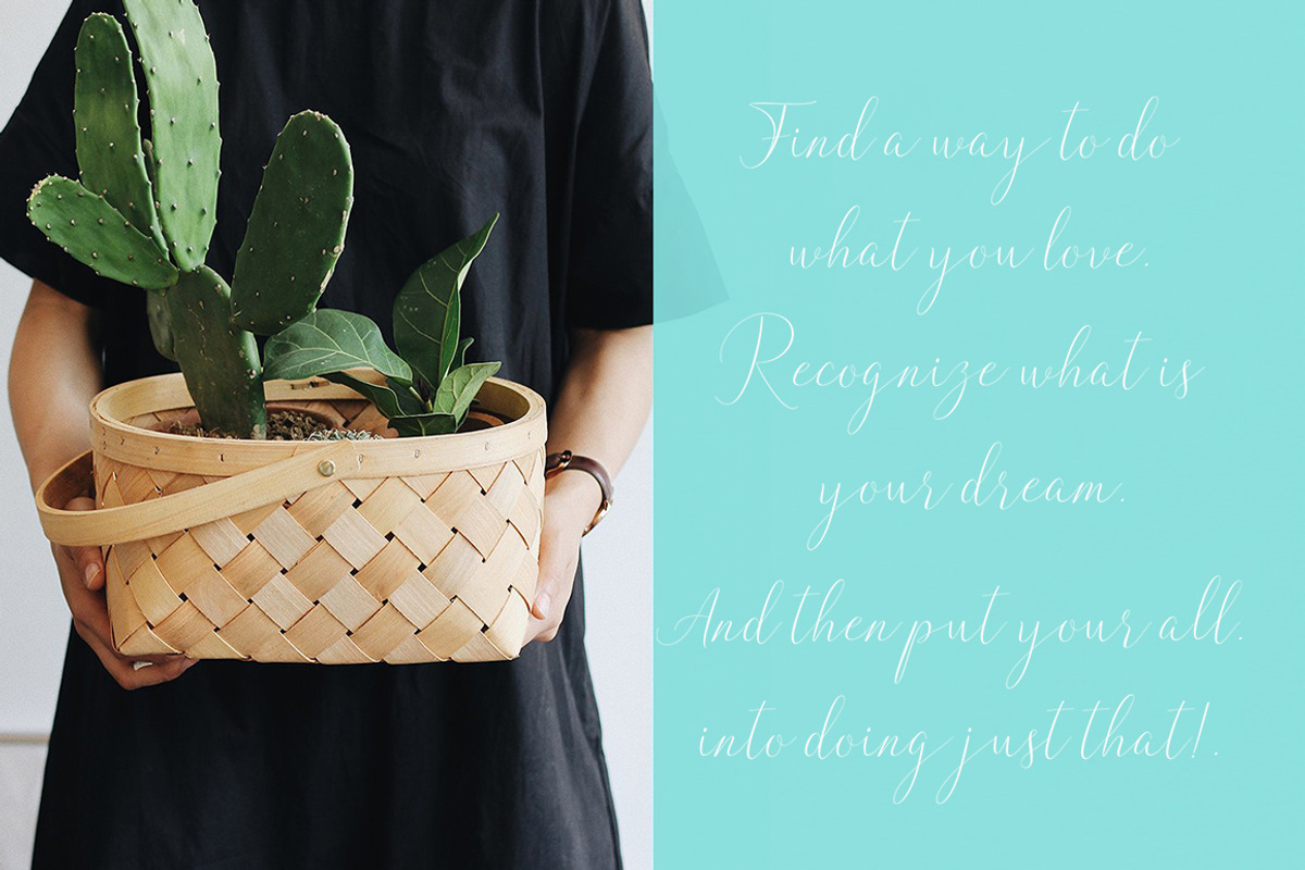 Lemons Font Trio preview 5
