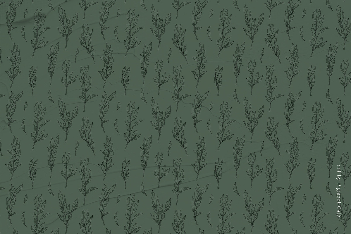 Olive Branches & Botanical Patterns, a Decorative Illustration by Pigment Café (Photo 3 of 10)