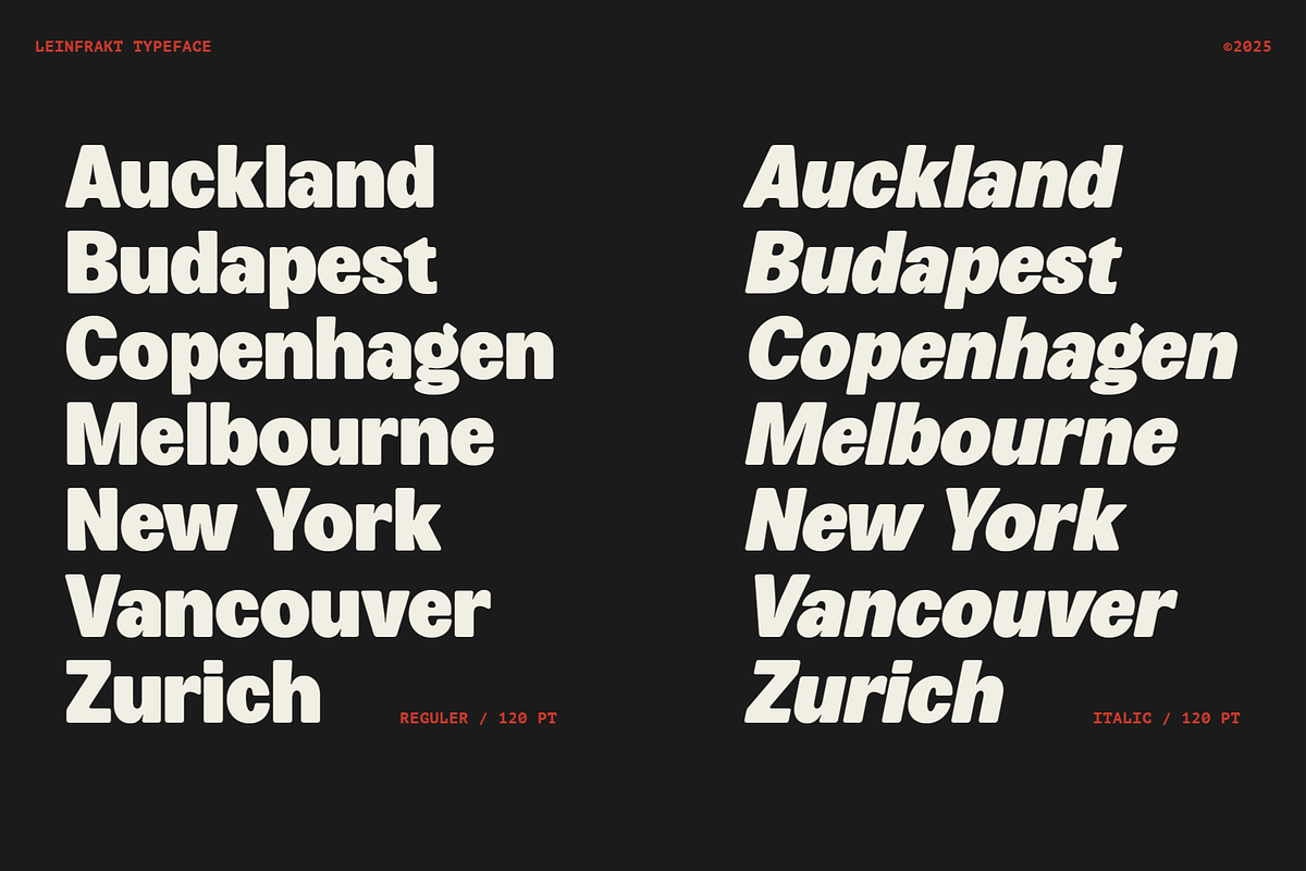 Leinfrakt - Heavy Display Sans, a Sans Serif Font by Shapespired Design (Photo 5 of 16)