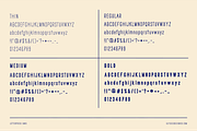 Letterpress Sans, a Sans Serif Font by Ulysses Design Co (Thumbnail 7 of 20)