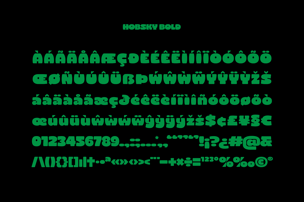 Hobsky - Bold Font, a Sans Serif Font by limitype (Photo 11 of 12)