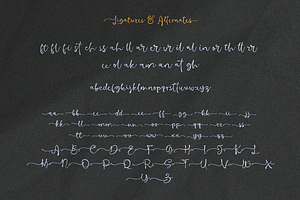 Barona Script - Handwriting Script