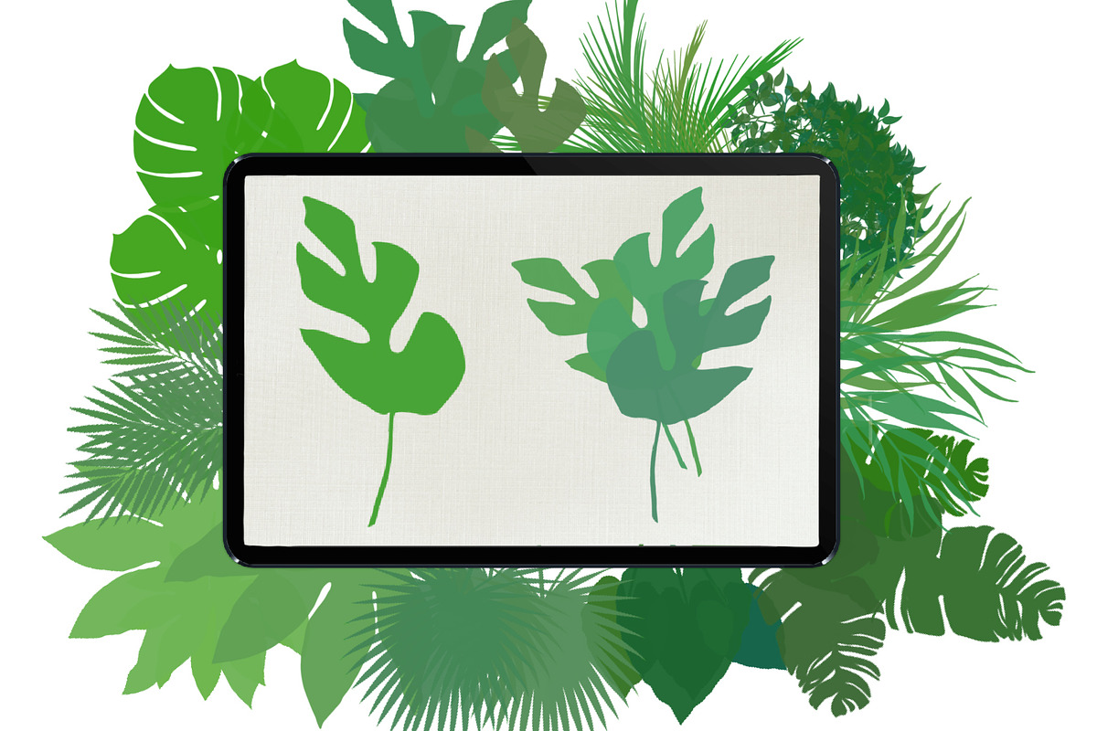 Palm leaves brushes for Procreate, a Brush Add-On by AnastasiyaOleynik (Photo 9 of 12)