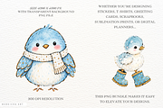 Winter Birds PNGs, an Animal Illustration by Markicha Art (Thumbnail 2 of 5)