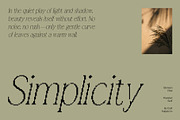 Bornean Pixel, a Serif Font by Craft Supply Co. (Thumbnail 4 of 8)