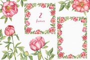 Pink Peonies - Watercolor Set, a Decorative Illustration by Irina Diasli (Thumbnail 6 of 8)