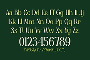 SHALMA, a Serif Font by TokoPress (Thumbnail 2 of 10)