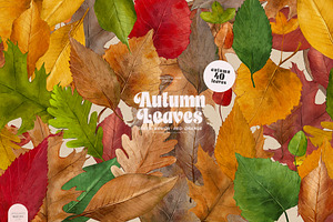 Autumn Leaves - Watercolor Fall
