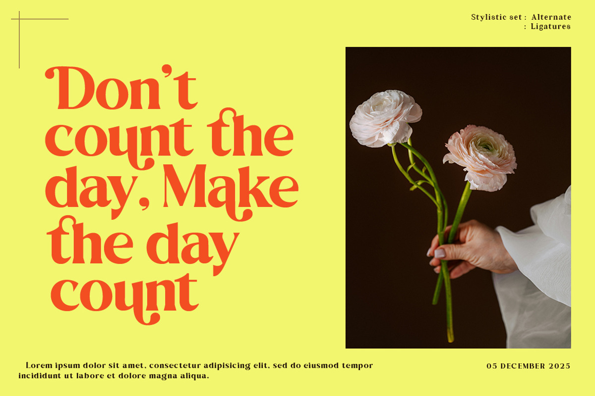 Singba Display, a Serif Font by MasaType (Photo 10 of 10)