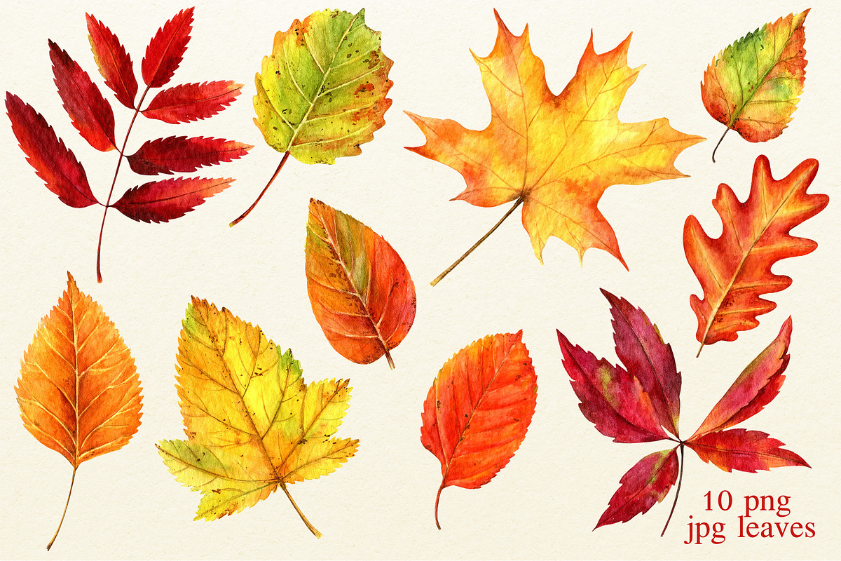 Autumn watercolor set, an Illustration by Nastilustra (Photo 2 of 7)