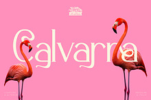 Calvarra - Modern Serif Font