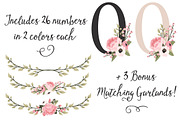 Soft Pink Floral Number Vectors, an Illustration by Amanda Ilkov (Thumbnail 3 of 5)
