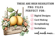 Whimsical Summer Wooden Sing Clipart, an Illustration by OK Design (Thumbnail 4 of 6)