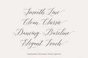 Adelicia Script, a Script Font by Seniors (Thumbnail 2 of 7)