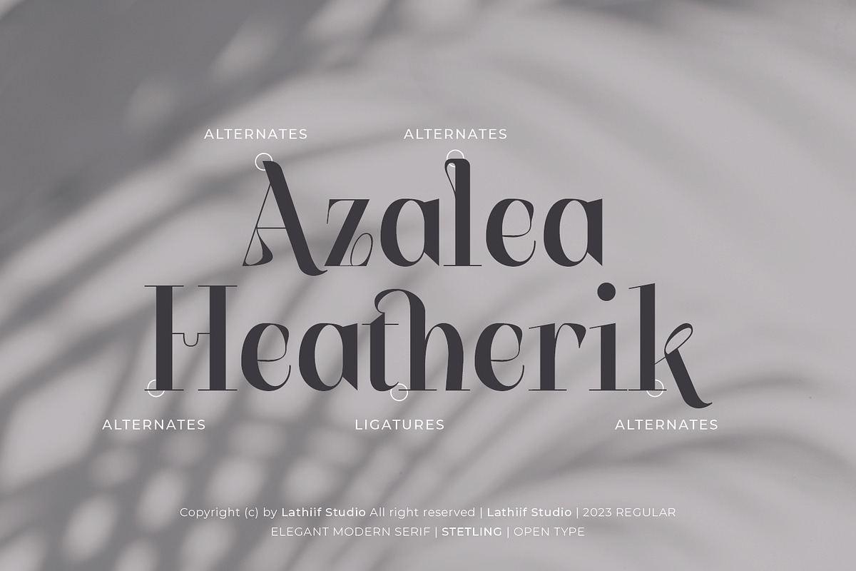 Stetling - Elegant Modern Serif Font, a Serif Font by Zeatype (Photo 8 of 11)