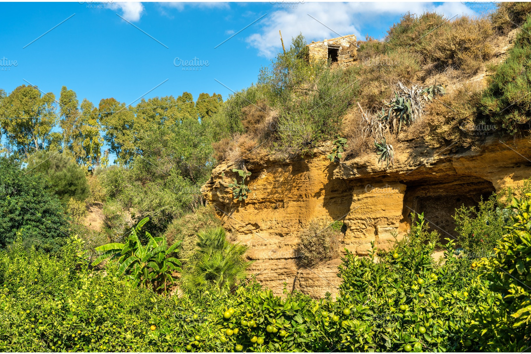 The kolymbetra garden at the valley of the temples agrigento sicily italy, a Transportation Photo by Leonid Andronov