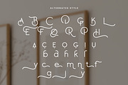 Faston - Modern Display Sans Serif, a Sans Serif Font by Flawless And Co (Thumbnail 10 of 10)