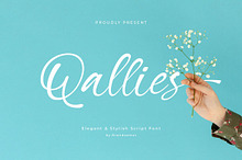 Qallies – Elegant Handwritten Font