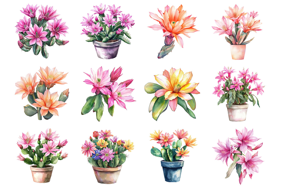 Cactus green Clipart, an Illustration by Design Market (Photo 3 of 3)