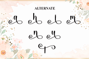 Hostania | Script Font, a Handwritten Font by Scratchones (Thumbnail 8 of 9)