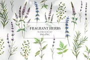 Fragrant herbs set.Watercolor Flower, a Graphic by Lembrik's Artworks (Thumbnail 1 of 2)