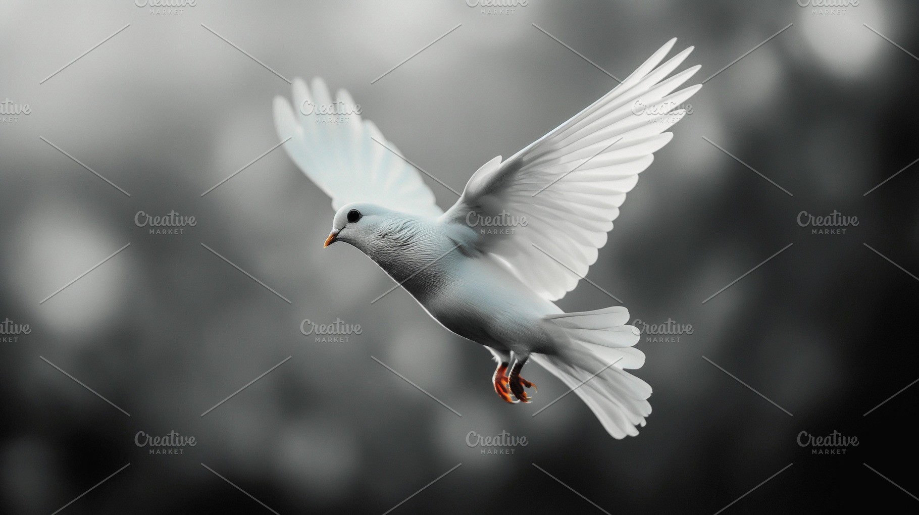 Flying white dove., an Animal Photo by MistyDay