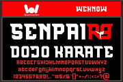 Republic Nine Font, a Font by weknow (Thumbnail 7 of 9)