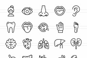 50 Human Anatomy Icons, an Icon by IconBunny (Thumbnail 2 of 2)