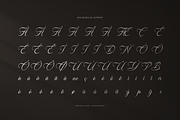 Anelyas | Modern Calligraphy, a Script Font by Denustudios (Thumbnail 12 of 12)