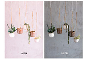 Rose & Blush Blogger Mobile Preset, an Action Add-On by Lux Light (Thumbnail 6 of 13)