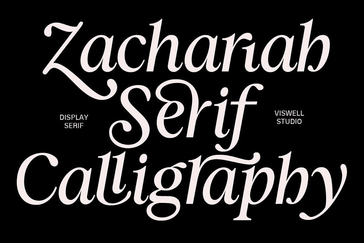 Zachariah Calligraphic Italic Serif, a Serif Font by Viswell (Photo 1 of 10)