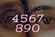 Wild Chance Complete 6-Font Family, a Serif Font by Up Up Creative (Thumbnail 10 of 15)