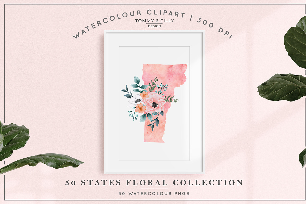 50 Watercolour States Collection, a Decorative Illustration by Tommy & Tilly Design (Photo 2 of 7)