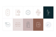 50 Botanical Floral Logos, a Branding & Logo Template by Graphicdome (Thumbnail 3 of 10)