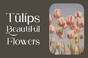 Ragam Luxury Font, a Serif Font by zerologicstudio (Thumbnail 3 of 6)