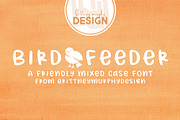 Bird Feeder Font, a Handwritten Font by Brittney Murphy Design (Thumbnail 1 of 2)