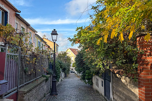 Mouzaia cobblestone alley with blooming greenery in Paris 19th F, an Architecture Photo by GoodGoods
