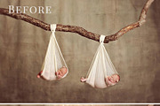Holiday Sparkle 1 – photo overlays, an Object Graphic by BrownLeopard (Thumbnail 4 of 6)