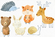 70% off. Bundle. Woodland animals., an Animal Illustration by TaPilipa (Thumbnail 21 of 38)
