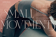 ASENTRO, a Serif Font by Alcode (Thumbnail 13 of 15)
