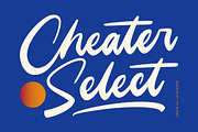 Unlatch Skater Bold Brush Font, a Script Font by Letterena Studios Script (Thumbnail 12 of 20)