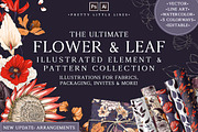Ultimate Flower & Leaf Collection, an Object Graphic by Pretty Little Lines (Thumbnail 1 of 47)