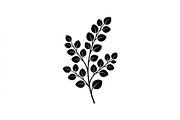 Eucalyptus Leaf Branch Collection, an Object Graphic by Designer_Momina (Thumbnail 2 of 3)
